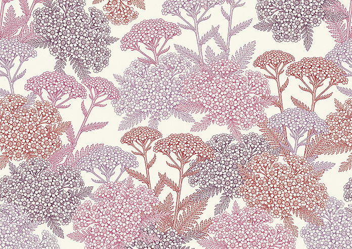 Yarrow, Cosmos - Roman Blind - Image 7
